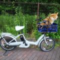 柴犬用電動アシスト自転車