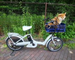 柴犬用電動アシスト自転車