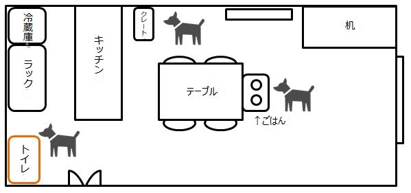 柴犬の子犬 3ヶ月 家の中でトイレを置く場所は 柴色 ツンデレ柴犬とのライフブログ